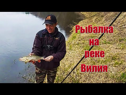 Видео: Рыбалка на реке Вилия.Ловля голавля на фидер на реке Вилия.