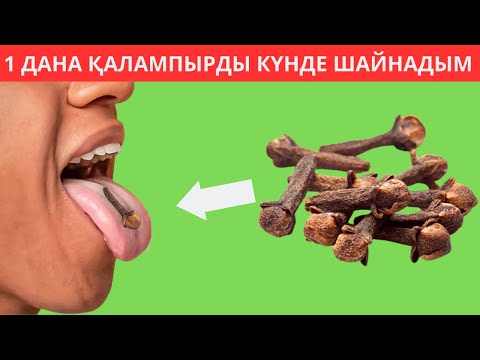 Видео: Күнде 1 ҚАЛАМПЫРДЫ шайнап, 10 дерттен құтылдым!!! Ауыздың жағымсыз иісін қалай кетіруге болады