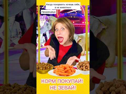 Видео: Развела на вкусняшки 😂 Смешная Пародия! Цирк часть 3 #shorts