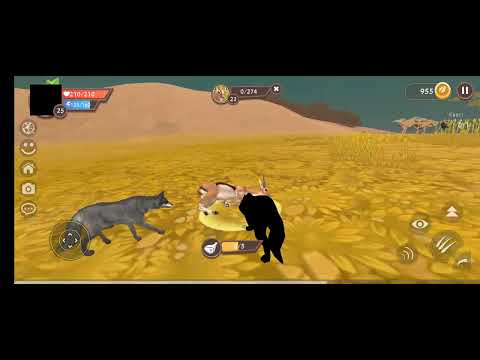 Видео: 24 октября 2025 г.