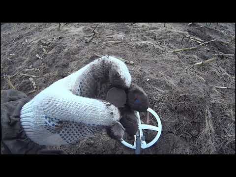 Видео: XP ORX на ВЫБИТОМ ПОЛЕ!!! Осталось только МЕЛОЧЬ!!!