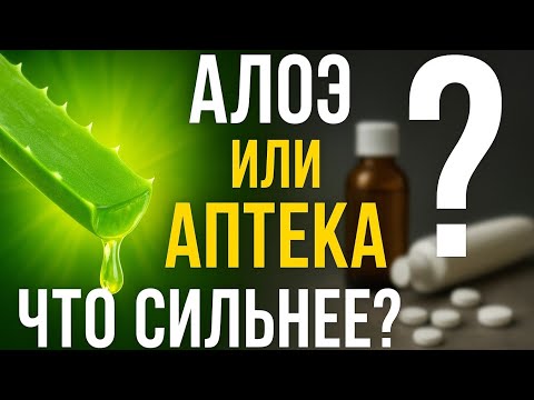 Видео: АЛОЭ — ЖИВОЕ ЛЕКАРСТВО НА ПОДОКОННИКЕ