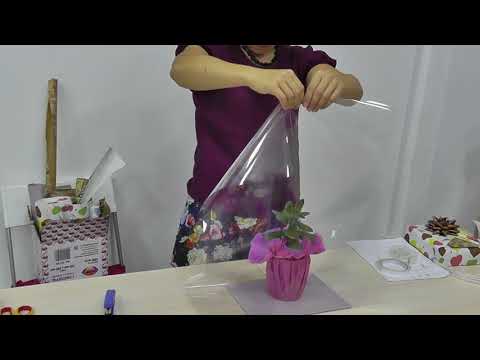 Видео: Упаковка в форме пирамиды (прозрачная пленка)