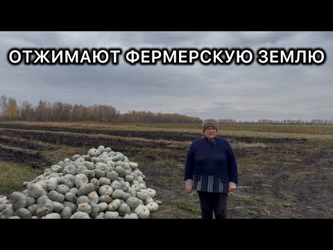 Видео: Продолжение: Как у фермера отжимают землю, и он просит помощи у А.И. Бастрыкина.