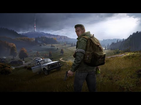 Видео: Просто Побегушки В DayZ