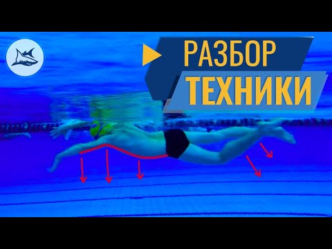 Видео: РАЗБОР ТЕХНИКИ ПЛАВАНИЯ КРОЛЕМ. ГЛАВНЫЕ ОШИБКИ ЛЮБИТЕЛЯ