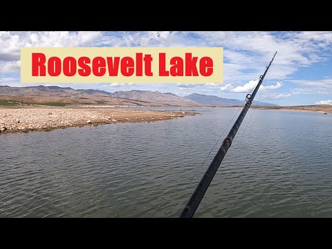 Видео: Прекрасное утро рыбалки на озере Рузвельт, Аризона (осенний переход)