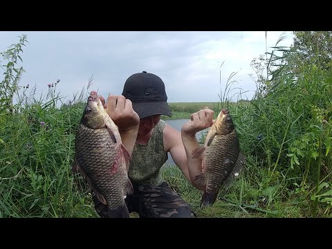 Видео: ЭТА РЫБАЛКА ПОРАЗИЛА НЕ ТОЛЬКО МЕНЯ!ДУМАЛ ТАКИХ НЕ БЫВАЕТ.РЫБАЛКА В АВГУСТЕ.