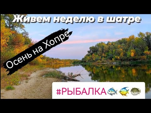 Видео: Живём неделю на природе в шатре.