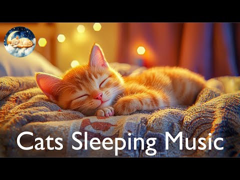 Видео: (БЕЗ РЕКЛАМЫ) Музыка для сна 🐱 Мягкие колыбельные для кошек и людей 💤 Расслабляющие звуки для сна