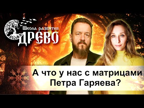 Видео: А что у нас с матрицами Петра Гаряева?