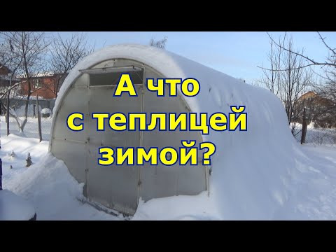 Видео: Три важных вопроса о теплице зимой: открывать ли двери, закидывать ли внутрь снег, очищать ли крышу?
