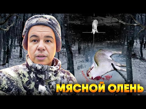 Видео: Мясной олень | Предновогодняя охота