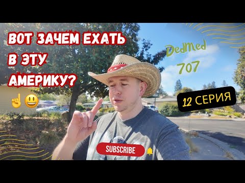 Видео: Нормальные причины для приезда в США  
