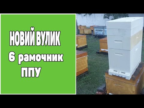 Видео: Новий вулик ППУ на 6 рамок. Найкращий нуклеус