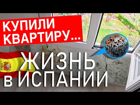 Видео: Борьба с влагой, сыростью и плесенью с помощью осушителя воздуха | ЖИЗНЬ в ИСПАНИИ | ч.1