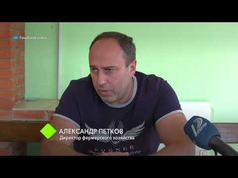 Видео: Привет из 90-х: бессарабских аграриев держит в страхе банда криминального авторитета