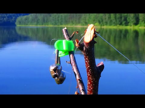 Видео: Рыбалка с НОЧЁВКОЙ! ЗАЛЕЗ В РЕАЛЬНУЮ ДИЧЬ! НО ТУТ ПРИШЛИ ОНИ!