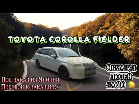 Видео: Перегон Toyota Corolla Fielder из Владивостока заказчику