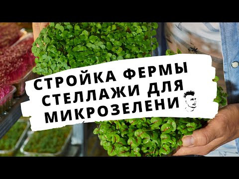 Видео: Стройка сити фермы Стеллажи для микрозелени