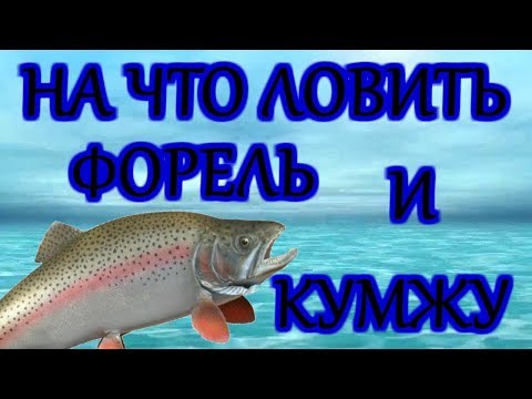 Видео: Вязание мушек для рыбалки. Мушка на форель и кумжу + конкурс!