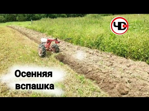 Видео: ✅Осенняя вспашка мотоблок Мтз беларус 09Н