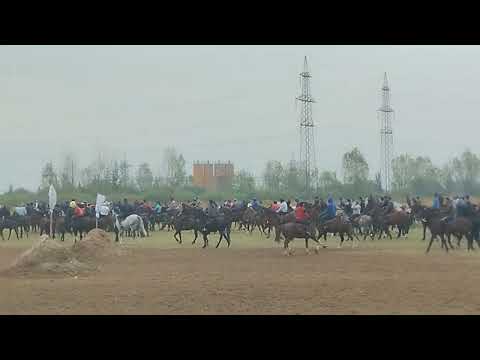 Видео: 5 октября 2025 г.