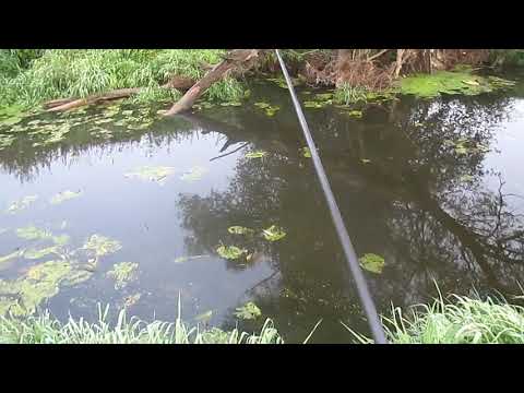 Видео: Боковой кивок на малой реке 2 часть