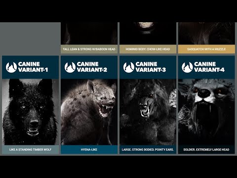 Видео: Семь типов догменов