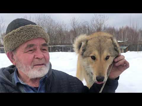 Видео: "Клуб охотников и рыболовов" выпуск 017 Захарыч и Леший