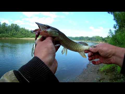 Видео: На УАЗЕ  220км до р.Кия