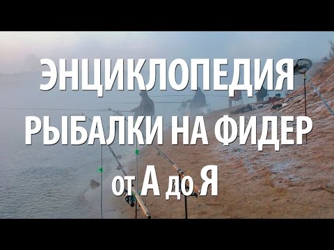 Видео: ЛОВЛЯ на ФИДЕР для НАЧИНАЮЩИХ. ЭНЦИКЛОПЕДИЯ ФИДЕРНОЙ РЫБАЛКИ