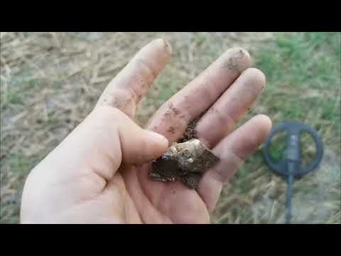 Видео: Открыл осенний коп,Находки есть #коп #хобби #находки #metaldetecting