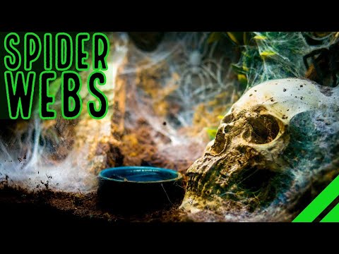 Видео: Топ 10 самых тяжёлых тарантулов!