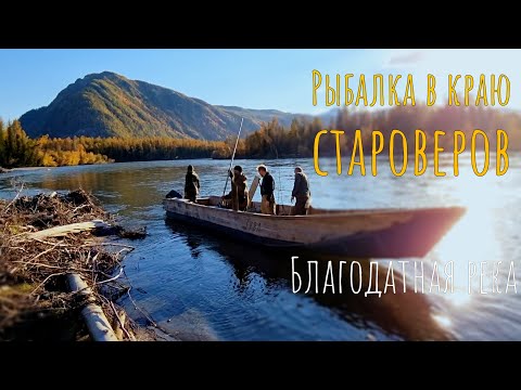 Видео: Староверы рассказали где рыба и началось/Опасный каньон Кызыл-Хема/Рыбалка в Туве #4