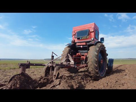 Видео: Первая халтура на тракторе Т-40АМ. Вспашка огорода на сороковке!!!