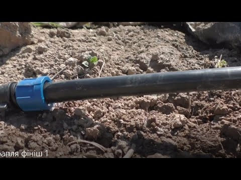 Видео: Запустив крапельний полив!