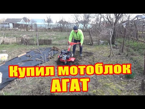 Видео: Купил мотоблок Агат, с двигателем LIfan