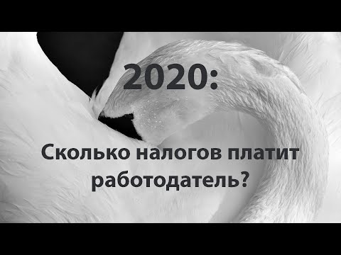 Видео: Сколько налогов платит работодатель в 2020 #БелыеНалоги2020