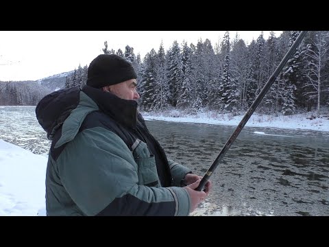 Видео: Поймать хариуса по шуге