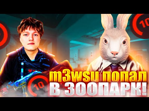 Видео: M3WSU ПОПАЛ В ЗООПАРК НА 4000 ЭЛО! ТУПЫЕ ТИММЕЙТЫ НЕ ПОНИМАЮТ ЧТО ДЕЛАТЬ! (CS 2) #cs2 #m3wsu