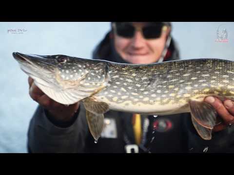 Видео: Турнир CWC Super Pike Open 2019. Соревнование.