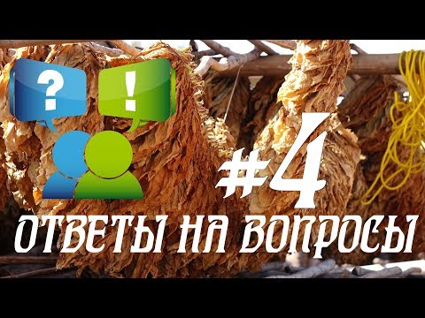 Видео: ОТВЕТЫ на ВОПРОСЫ / СУШКА ТАБАКА / ФЕРМЕНТАЦИЯ / БОЛЕЗНИ / ЧАСТЬ - 4