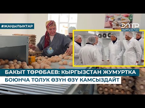 Видео: БАКЫТ ТӨРӨБАЕВ: КЫРГЫЗСТАН ЖУМУРТКА БОЮНЧА ТОЛУК ӨЗҮН ӨЗҮ КАМСЫЗДАЙТ