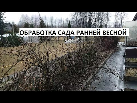 Видео: Обработка сада ранней весной.