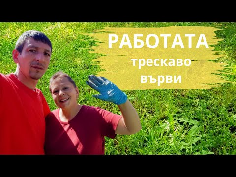 Видео: Я, покажи ми как се сади пиперо | Живот на село | Боби и Катето