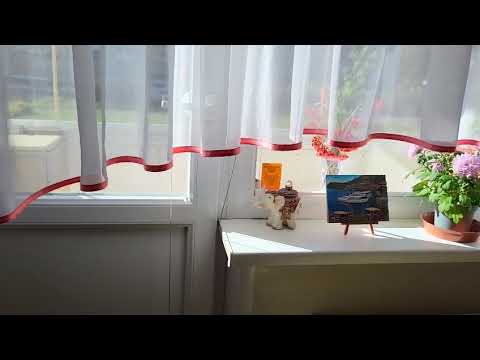 Видео: 27 сентября 2025 г.