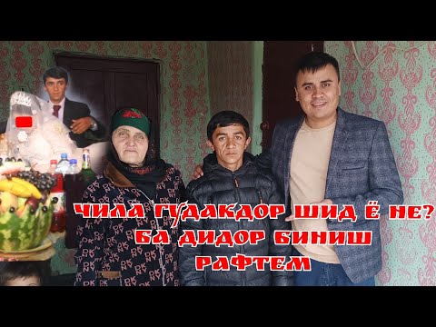 Видео: Чила кудакдор шид ё не.Ба дидор бини Чила Рафтем Кангурт