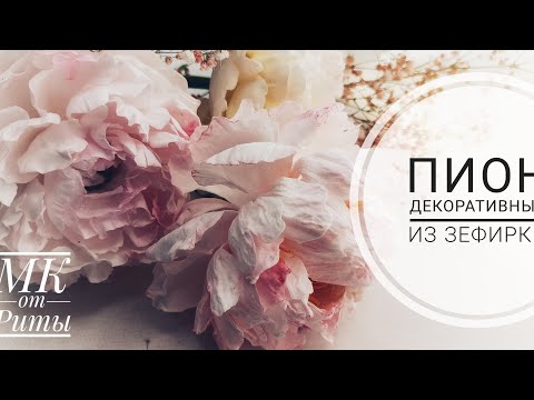 Видео: Пион первый... из зефирки. МК от Риты