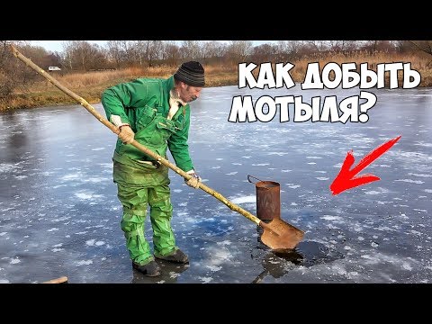 Видео: КАК ДОБЫТЬ МОТЫЛЯ для РЫБАЛКИ 🐟 ДЕДОВСКИЙ СПОСОБ